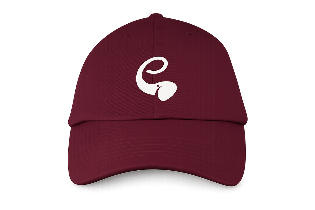 EARNERwear Signature Cap