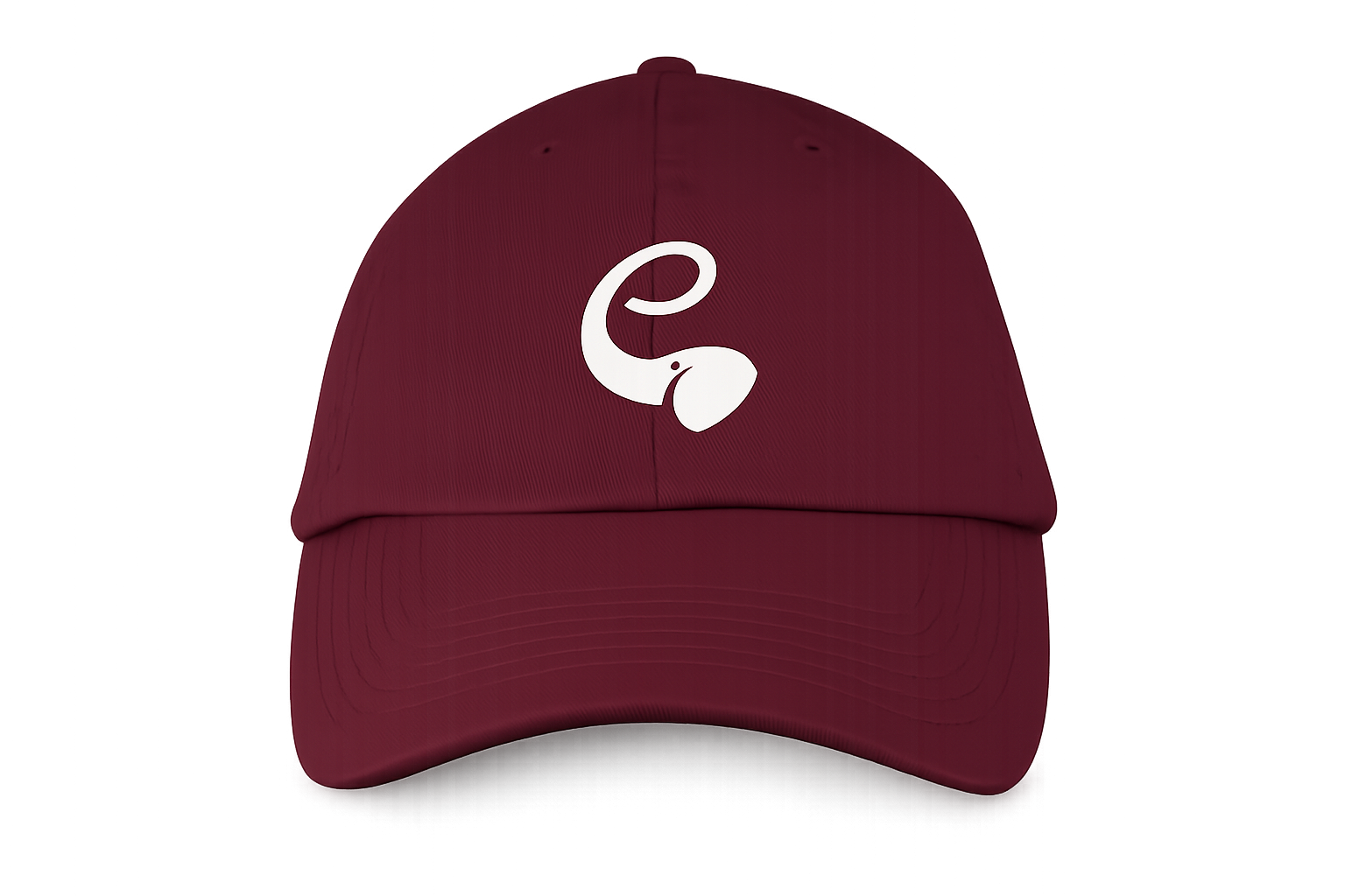 EARNERwear Signature Cap